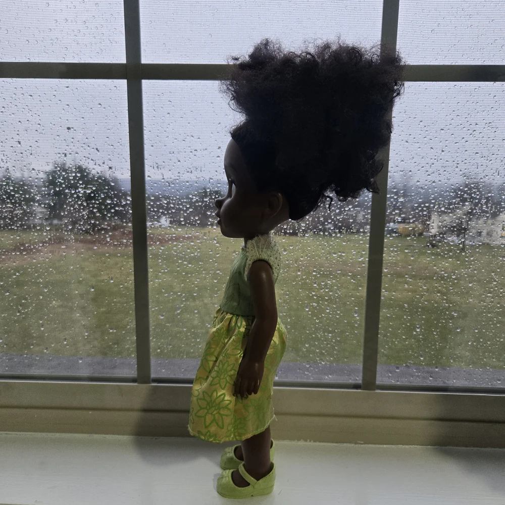 Disney Princess My Friend Tiana Doll Birthdays Gifting
